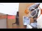 https://image.noelshack.com/fichiers/2012/30/1343583485-cat-dunks.gif