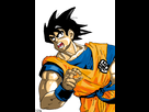 https://image.noelshack.com/fichiers/2012/30/1343593553-songoku.jpg
