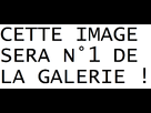 https://image.noelshack.com/fichiers/2012/31/1343643134-MZ2M.png