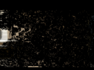 https://image.noelshack.com/fichiers/2012/31/1343658773-chat.gif