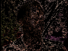 https://image.noelshack.com/fichiers/2012/31/1343682733-1341882748685.gif