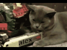 https://image.noelshack.com/fichiers/2012/31/1343682920-1341460526662.gif