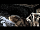 https://image.noelshack.com/fichiers/2012/31/1343682923-111.gif