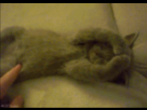 https://image.noelshack.com/fichiers/2012/31/1343682959-1341433943225.gif