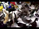 https://image.noelshack.com/fichiers/2012/31/1343682998-1341463776465.gif