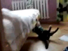 https://image.noelshack.com/fichiers/2012/31/1343683037-1342382474742.gif