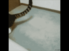 https://image.noelshack.com/fichiers/2012/31/1343683047-1342390016057.gif