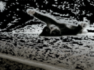 https://image.noelshack.com/fichiers/2012/31/1343683049-1342389860604.gif
