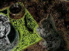 https://image.noelshack.com/fichiers/2012/31/1343683054-1342382116103.gif