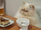 https://image.noelshack.com/fichiers/2012/31/1343683060-1342762265055.gif