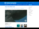 https://image.noelshack.com/fichiers/2012/31/1343766083-c1baleine.png
