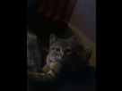 https://image.noelshack.com/fichiers/2012/31/1343849613-iphone-image-08-01-2012.jpg