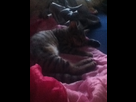 https://image.noelshack.com/fichiers/2012/31/1343932510-iphone-image-08-02-2012.jpg