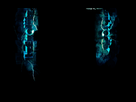 https://image.noelshack.com/fichiers/2012/31/1344079374-background-itzexotiix.jpg