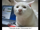 https://image.noelshack.com/fichiers/2012/31/1344086945-puceau-hier.jpg