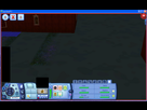 https://image.noelshack.com/fichiers/2012/31/1344182918-sims-bug.png