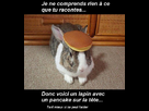 https://image.noelshack.com/fichiers/2012/31/1344193638-3d9xjr00.jpg