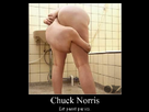 https://image.noelshack.com/fichiers/2012/32/1344279926-chuck-norris-est-passe-par-ici-virtu-oz-virtuoz.png