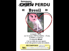https://image.noelshack.com/fichiers/2012/32/1344368151-affiche.jpg