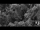 https://image.noelshack.com/fichiers/2012/32/1344460904-mandelbrot-fractal-1-by-caseycole11-d2zm8w1.png