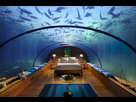 https://image.noelshack.com/fichiers/2012/32/1344520718-underwater-bedroom9.jpeg
