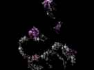 https://image.noelshack.com/fichiers/2012/32/1344547681-5327.gif