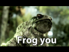 https://image.noelshack.com/fichiers/2012/32/1344565808-untitled-94xks7w.gif