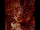 https://image.noelshack.com/fichiers/2012/32/1344597431-ruvis.png