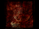 https://image.noelshack.com/fichiers/2012/32/1344598220-ruvis.png