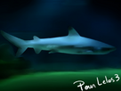 https://image.noelshack.com/fichiers/2012/32/1344602763-comission-10.jpg