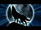 https://image.noelshack.com/fichiers/2012/32/1344735143-louppleinlune.jpg