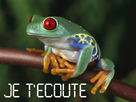 https://www.noelshack.com/2012-32-1344801044-grenouille-colore11-modifie-2.jpg