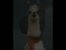 https://image.noelshack.com/fichiers/2012/33/1344974751-test.png