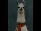 https://image.noelshack.com/fichiers/2012/33/1344975334-test.png
