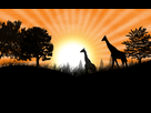 https://image.noelshack.com/fichiers/2012/33/1345071755-coucher-de-soleil.jpg