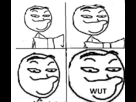 https://image.noelshack.com/fichiers/2012/33/1345074934-wut-mate.png