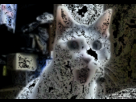 https://image.noelshack.com/fichiers/2012/33/1345081502-1344880168-osef2.gif