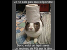 https://image.noelshack.com/fichiers/2012/33/1345131113-iphone-image-08-16-2012.jpg