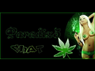 https://image.noelshack.com/fichiers/2012/33/1345410349-paradiz3.jpg