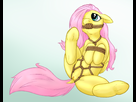 https://image.noelshack.com/fichiers/2012/34/1345423423-876830-friendship-is-magic-my-little-pony-bencoon-fluttershy.png