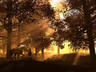 https://image.noelshack.com/fichiers/2012/34/1345449327-3777-cheval-link-zelda-wallfizz.jpg