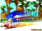 https://image.noelshack.com/fichiers/2012/34/1345449682-wallpaper-sonic-fire.jpg
