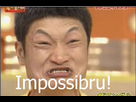 https://image.noelshack.com/fichiers/2012/34/1345470307-impossibru.jpg