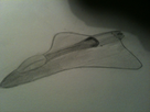 https://image.noelshack.com/fichiers/2012/34/1345571881-iphone-image-08-21-2012.jpg