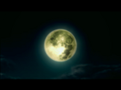 1345572169-331214-naruto-shippuden-ultimate-ninja-storm-3.jpeg - envoi d'image avec NoelShack