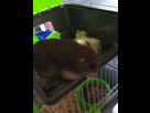 https://image.noelshack.com/fichiers/2012/34/1345633415-iphone-image-08-22-2012.jpg