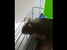 https://image.noelshack.com/fichiers/2012/34/1345633441-iphone-image-08-22-2012.jpg