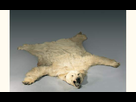 https://image.noelshack.com/fichiers/2012/34/1345665656-peau-ours-blanc-polaire-1107860341146360.jpeg