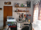 https://image.noelshack.com/fichiers/2012/34/1345672956-photo0151.jpg