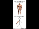 https://image.noelshack.com/fichiers/2012/34/1345772011-iphone-image-08-23-2012.jpg